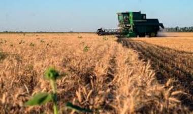 Ya es oficial la baja de las retenciones: ¿cuáles son los requisitos para tributar menos?