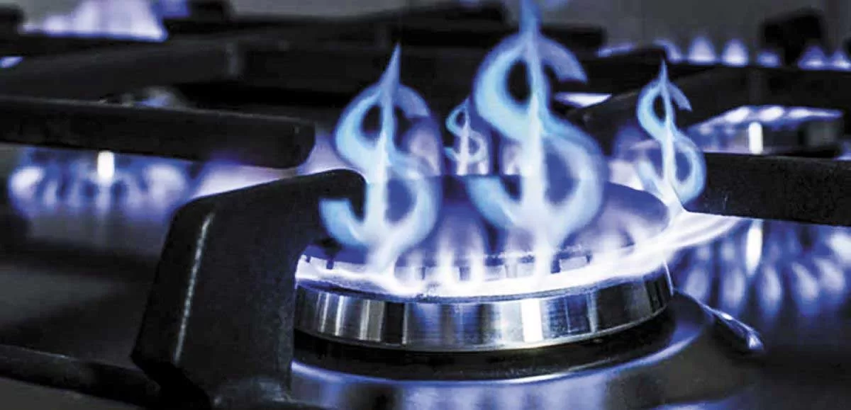 La Provincia prevé hasta un 600? suba en la tarifa del gas por la quita de subsidios de Nación